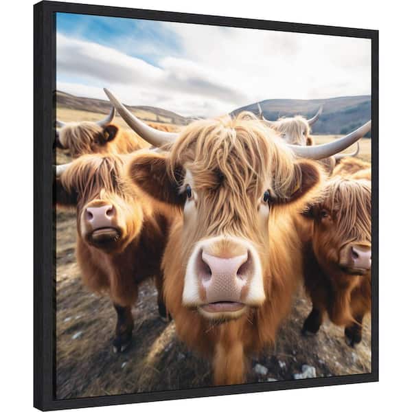 Kate and Laurel Sylvie Funny Animal Highland Cow Selfie by The Creative Bunch Studio Framed Art Print 22 in. x 22 in.