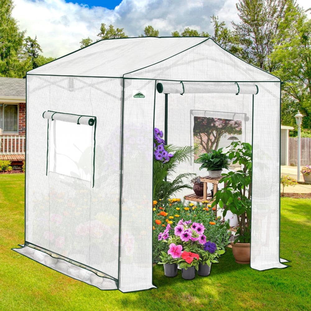 6 x 6 Portable Pop Up Greenhouse, Walk-In Outdoor Garden Plant Greenhouse, White price history on PriceWatchPro