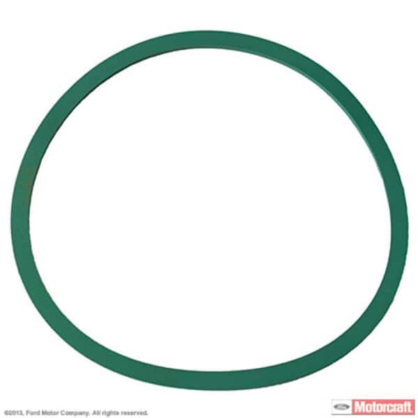 Fuel Pump Tank Seal
