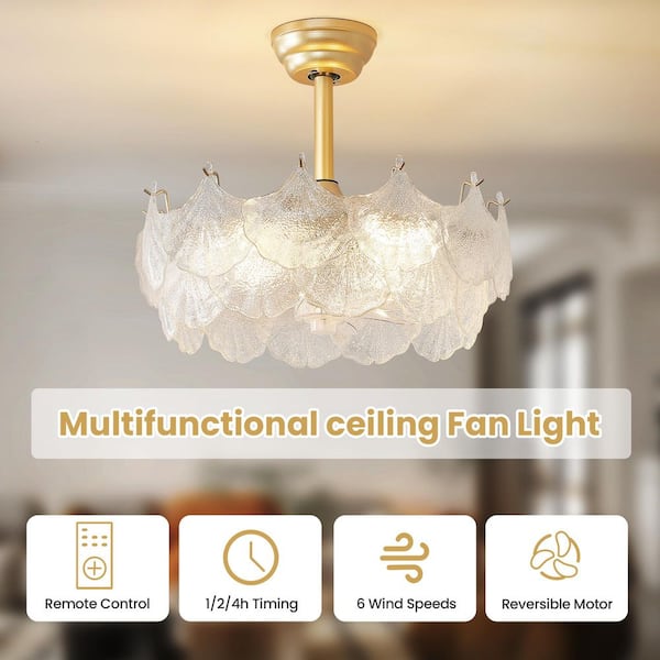 KAISITE 19 in. Indoor Crystal Cage Scallop Shape Glass Gold