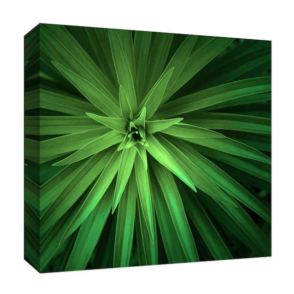 PTM Images ''Natural Green II'' Canvas Abstract Wall Art 15 in. x 15 in.