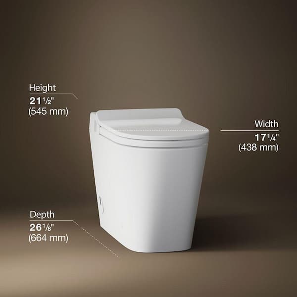 Leap 12 in. Rough In One-Piece 1.0/1.28 GPF Dual Flush Elongated Smart Bidet Toilet in White with Warm Air Drying