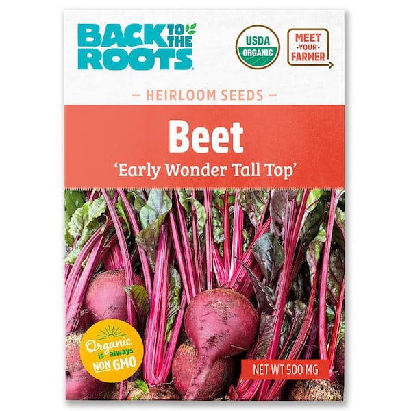 (1-Pack) Organic Early Wonder Tall Top Beets Seed