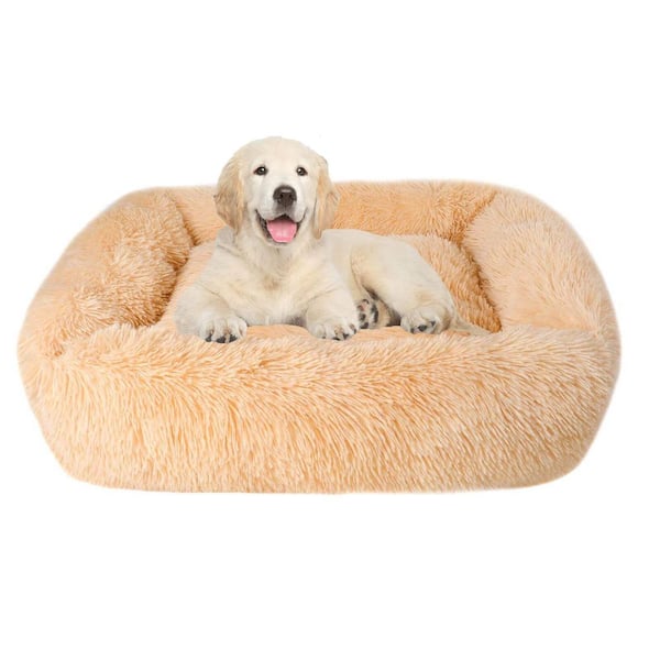 https://images.thdstatic.com/productImages/9b2749f2-7472-423a-97f9-02889e31715a/svn/champagne-dog-beds-r-d0102hahsvg-31_600.jpg