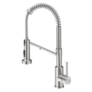 Bolden Single-Handle , Pull-Down Sprayer Kitchen Faucet Water Filtration System in Spot Free Stainless Steel