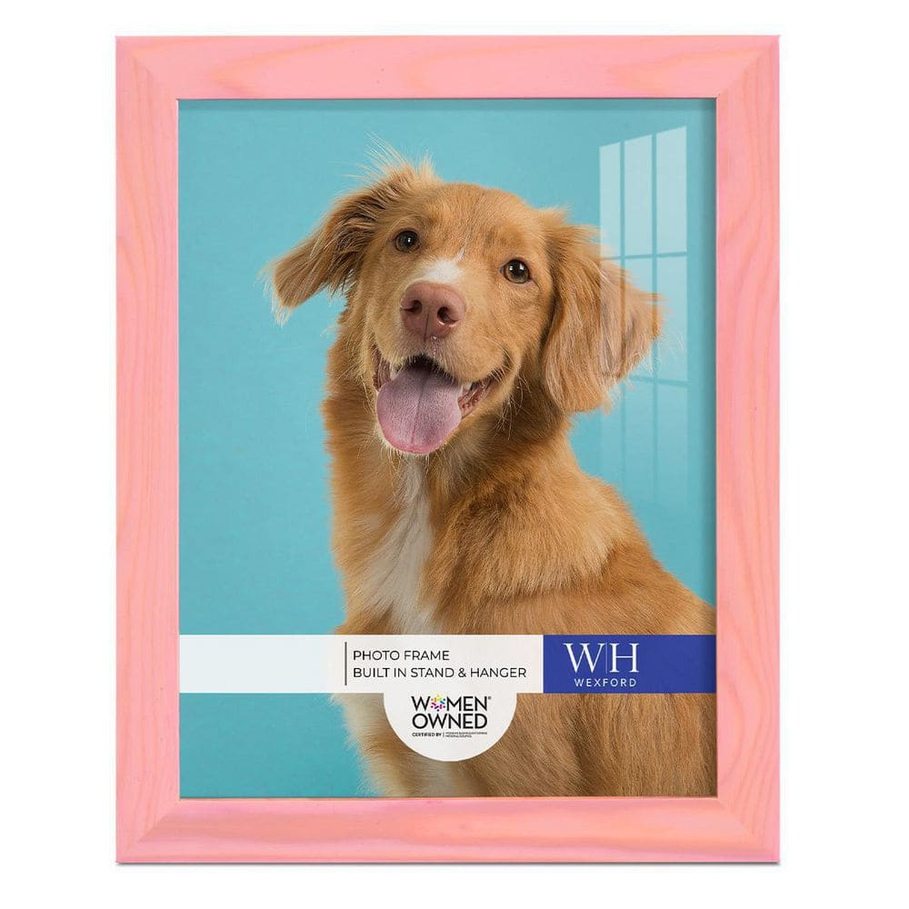 Woodgrain 8 in. x 10 in. Sunset Pink Picture Frame price history on PriceWatchPro