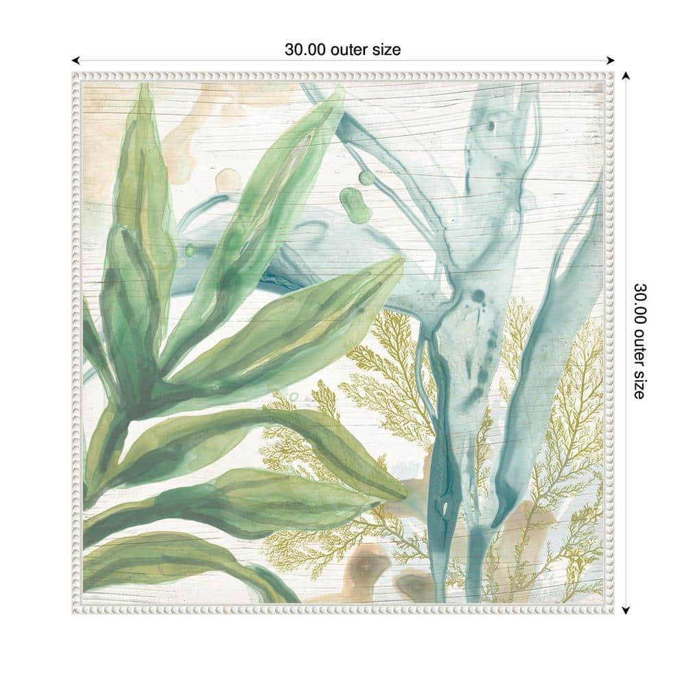 Quiet Coastal Collage II Abstract Botanical Canvas Print with White Frame