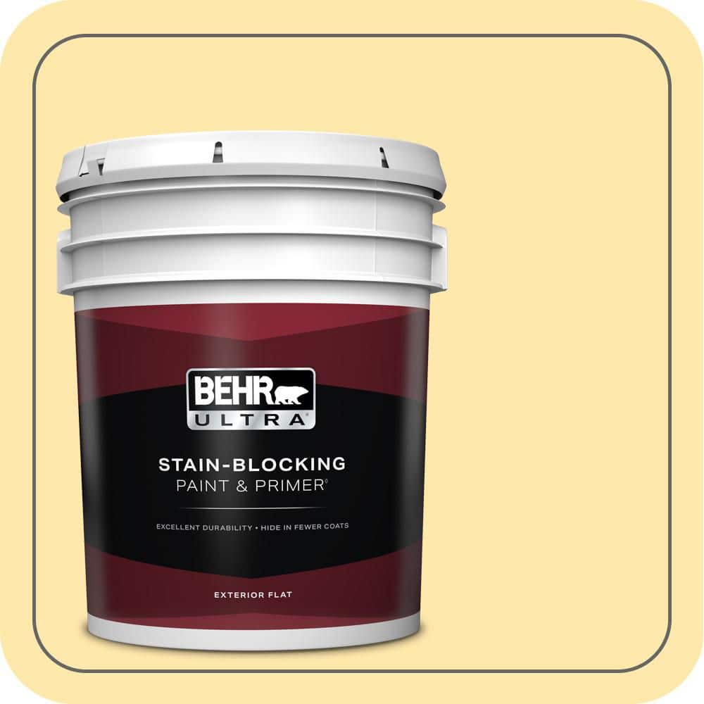 5 gal. #PPH-02 Corn Flat Exterior Paint & Primer price history on PriceWatchPro