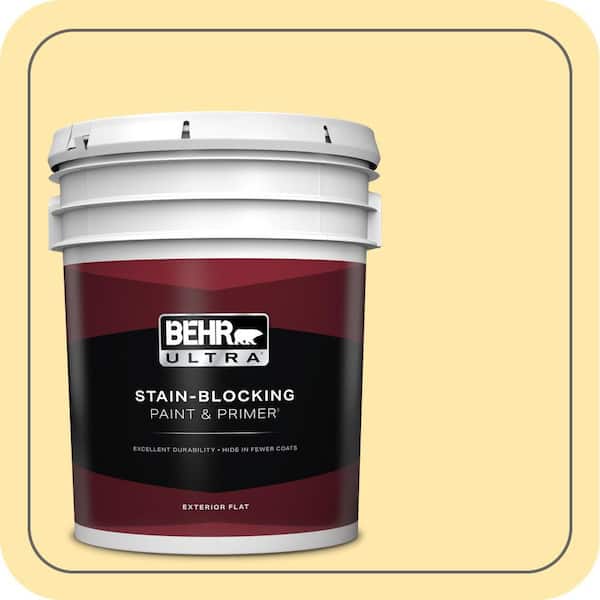 5 gal. #PPH-02 Corn Flat Exterior Paint & Primer