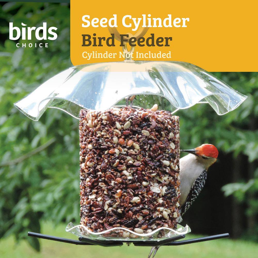 Clear Acrylic Hanging Seed Cylinder Bird Feeder