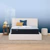 Serta Perfect Sleeper Nurture Night Twin Firm 12 in. Mattress 500302221 ...