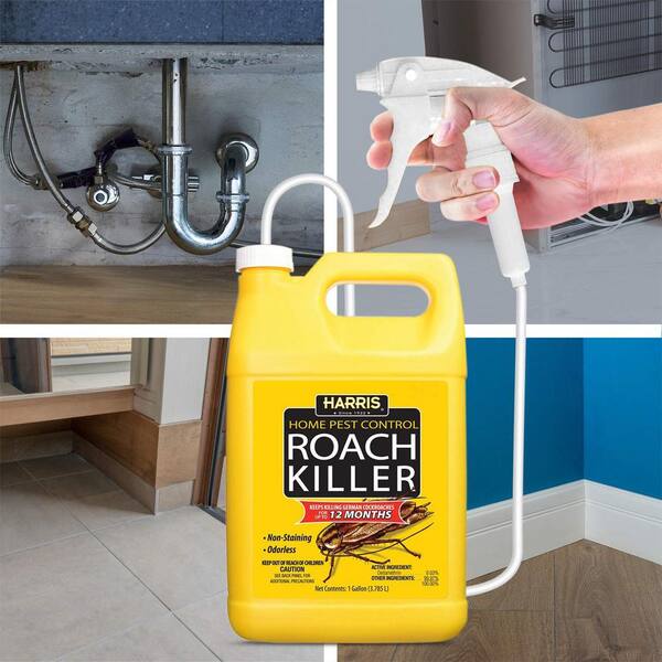 insect killer spray machine