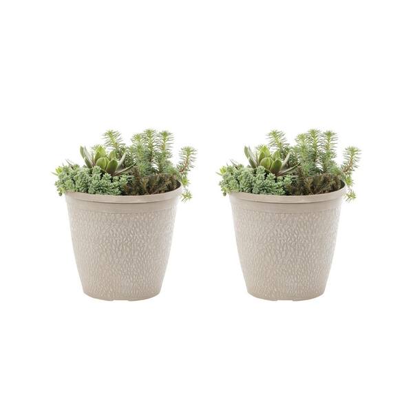 METROLINA GREENHOUSES 3 Qt. Sedum and Sempervivum Combo in Decorative Planter Multicolor Perennial Plant (2-Pack)