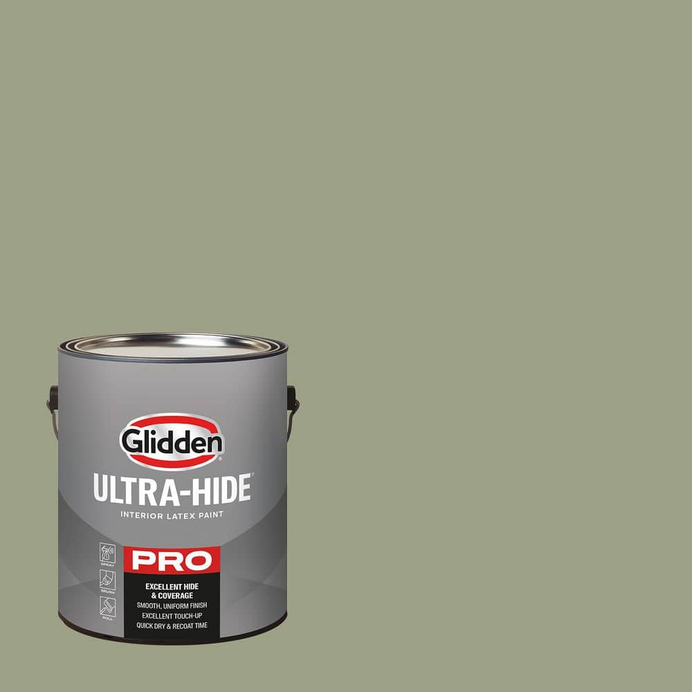 1 gal. PPG1126-5 Zebra Grass Satin Interior Paint price history on PriceWatchPro