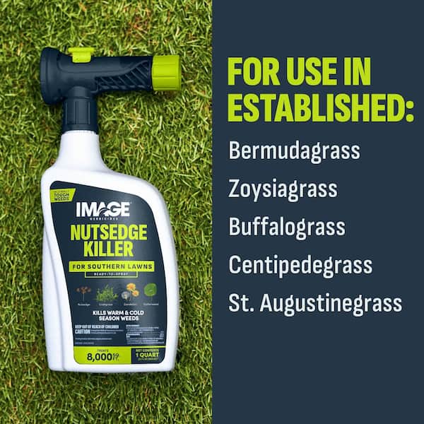 32 oz. 8,000 sq. ft. Nutsedge Weed Killer Ready-To-Spray