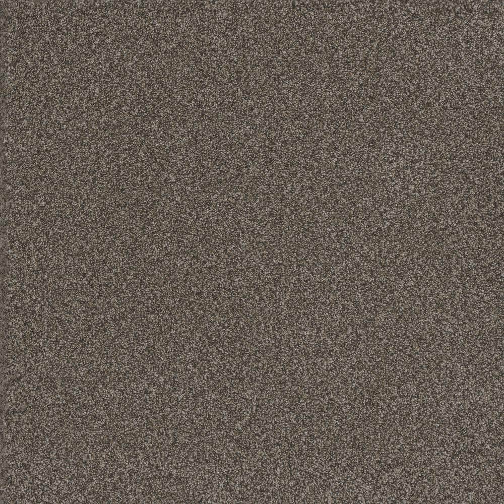8 in. x 8 in. Texture Carpet Sample - Serene Glory I - Color Placid price history on PriceWatchPro