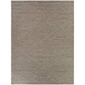 Chapin Taupe 5 ft. 3 in. x 7 ft. Textured Indoor/Outdoor Area Rug