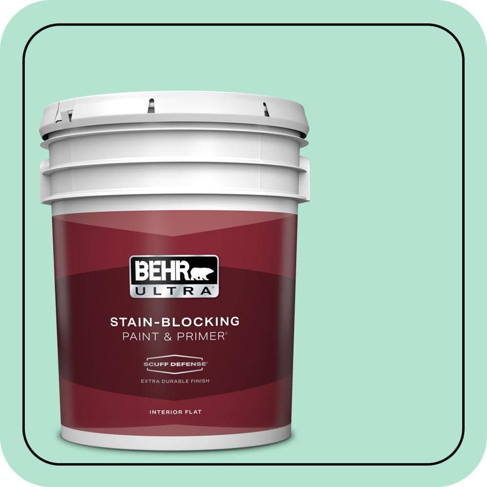 5 gal. #P420-2 Crystal Rapids Extra Durable Flat Interior Paint & Primer price history on PriceWatchPro