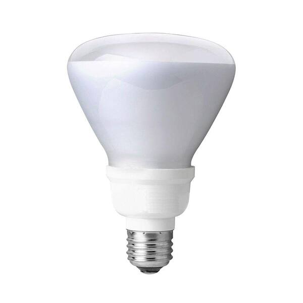 TCP 14-Watt (65W) R30 Soft White CFL Light Bulb (2-Pack) (E)*
