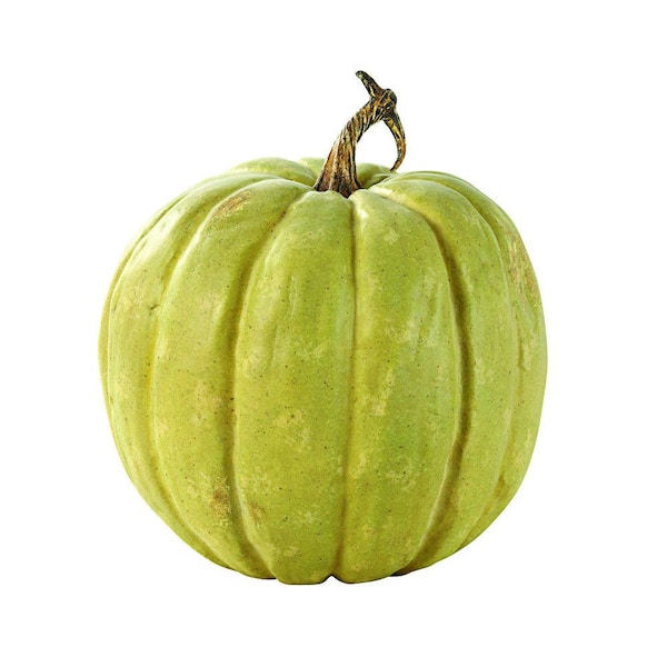 Home Decorators Collection 14 in. Diameter Grand l'Automne Pumpkin