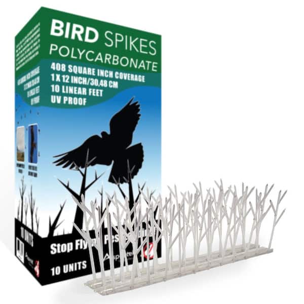 Aspectek 10 ft. Plastic Bird Spikes