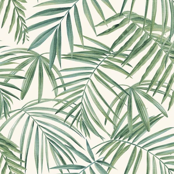 Juan Green Palm Leaves Wallpaper