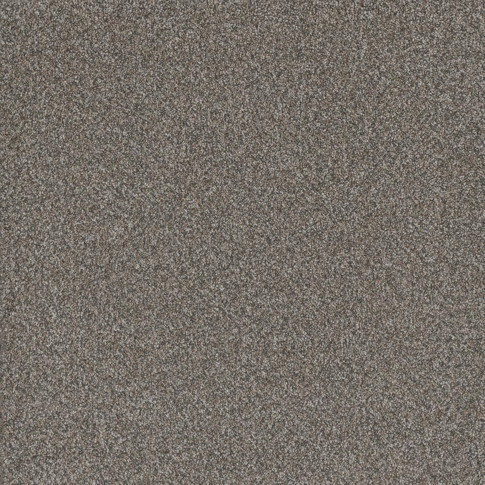 8 in. x 8 in. Texture Carpet Sample - Trendy Threads Plus II -Color Elkhorn price history on PriceWatchPro