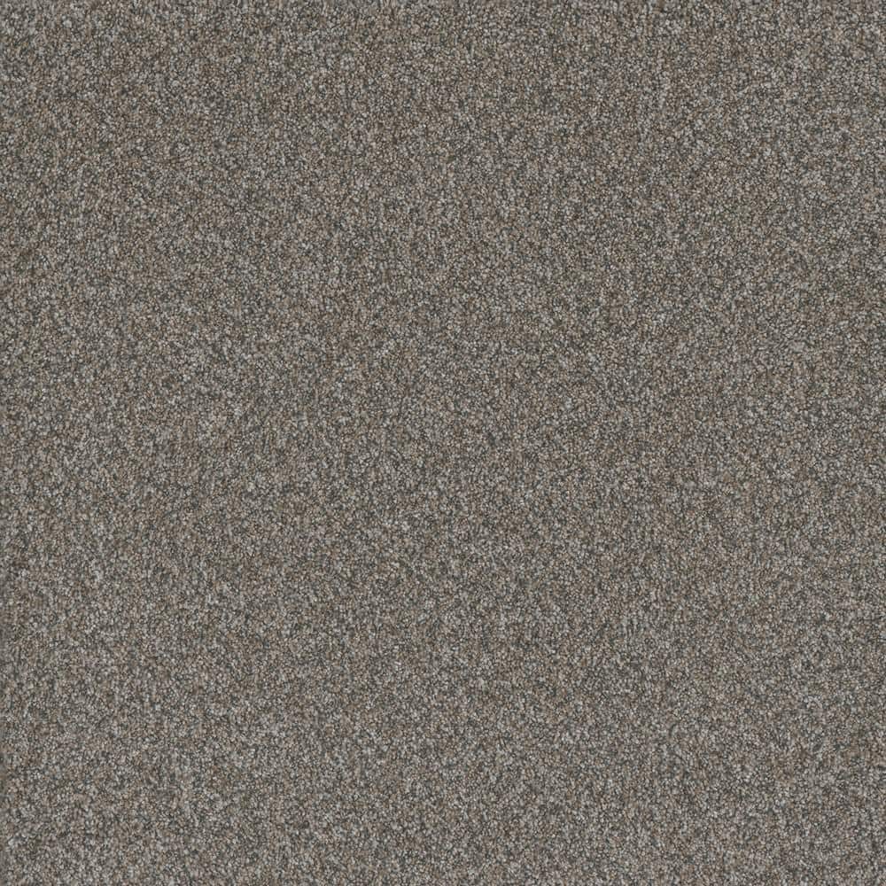 8 in. x 8 in. Texture Carpet Sample - Trendy Threads Plus III -Color Elkhorn price history on PriceWatchPro