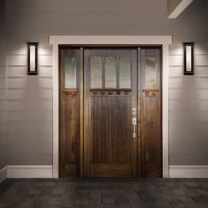 Eliot 20 in. Hardwired LED Indoor and Outdoor Wall Light 3000K in Black