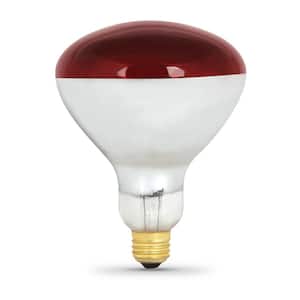 250-Watt Red BR40 Dimmable Incandescent 120-Volt Infrared Heat Lamp Light Bulb (1-Bulb)