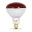 https://images.thdstatic.com/productImages/9b6cf39e-ed77-461d-b66c-8772ad50e308/svn/feit-electric-heat-lamp-bulbs-250r40-r-hdrp-64_65.jpg