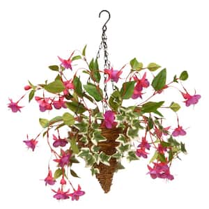 15 in. Artificial Fuchsia and Ivy Hanging Basket