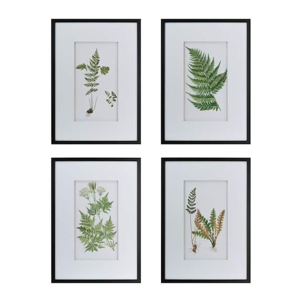A & B Home Botanical Fern White Framed Wall Art (Set of 4)