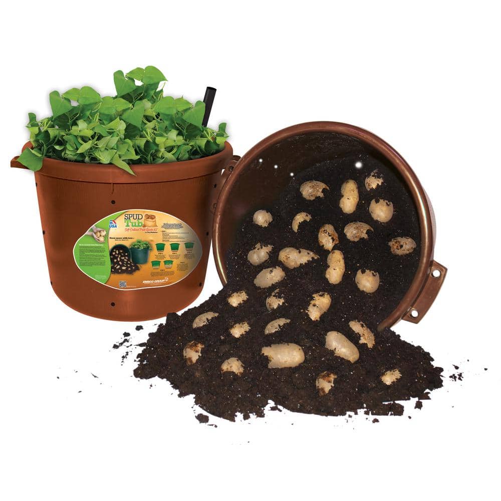 Tierra Garden 50-1040 3-Pack Haxnicks Potato Patio Planter