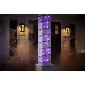 29 ft 6 in 100-Count Smooth Purple Mini LED Halloween String Lights