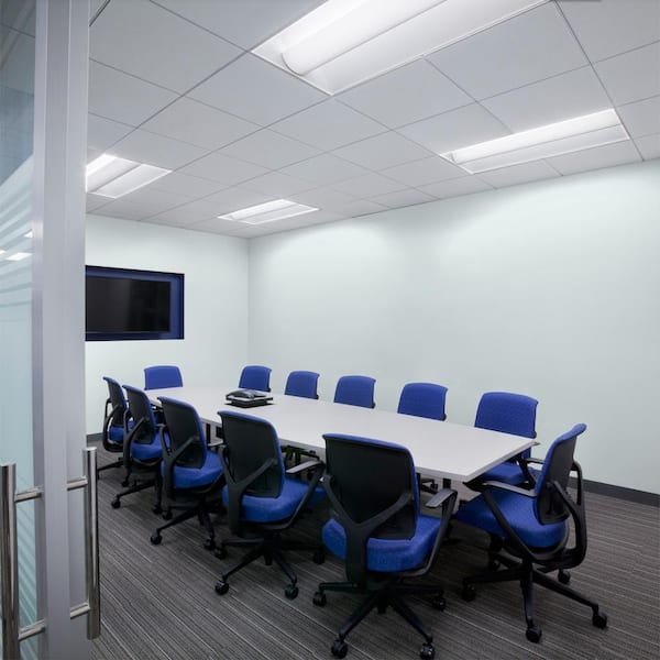 5 gal. #550E-1 Breaker Dead Flat Interior Paint