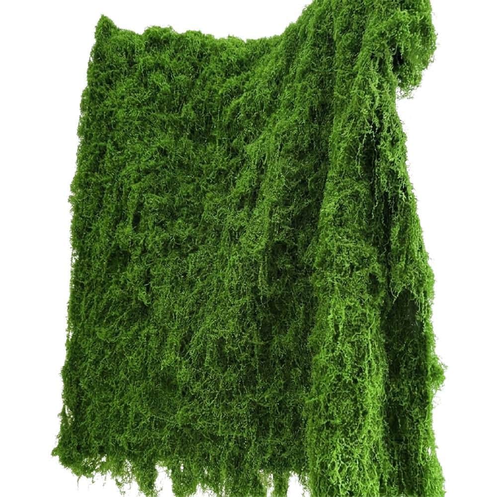 Afoxsos 39.37 in. H x 39.37 in. W Green Artificial Moss Hedges