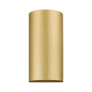Banbury 10 in. 1-Light Satin Gold Dark Sky Outdoor Hardwired ADA Wall Sconce with No Bulbs Included