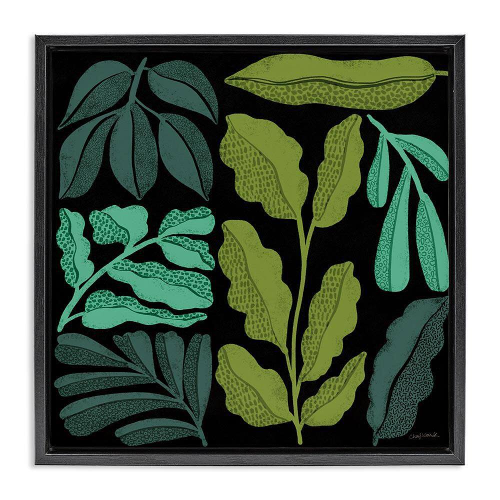 Plant Sprig Collage by Cheryl Warrick Black Floater Frame Nature Graphic Art Print 18 in. x 18 in. price history on PriceWatchPro