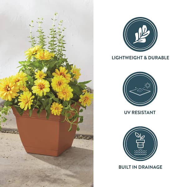 Vigoro Mirabelle Small Clay Plastic Square Planter with Drainage Hole and  Attached Saucer (8 in. L x 8 in. W x 7.3 in. H) ECP08005E22