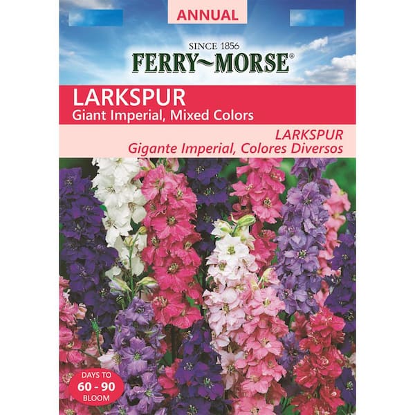 Ferry-Morse Larkspur Giant Imperial Flower Seed