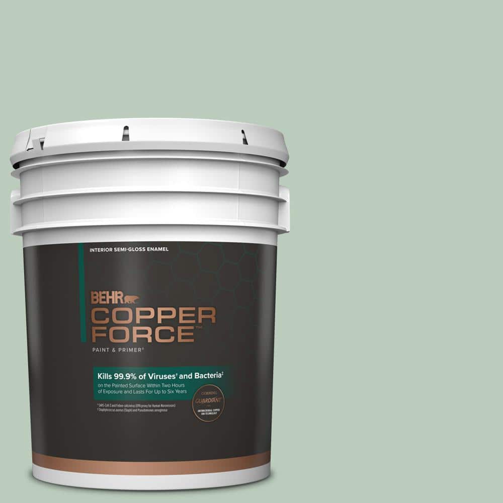 Reviews for COPPER FORCE 5 gal. #MQ3-49 Jade Tinge Semi-Gloss Enamel  Virucidal and Antibacterial Interior Paint & Primer | Pg 2 - The Home Depot