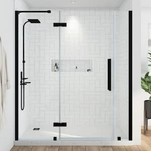 Tampa 58 1/16 in. W x 72 in. H Pivot Frameless Shower Door in Black