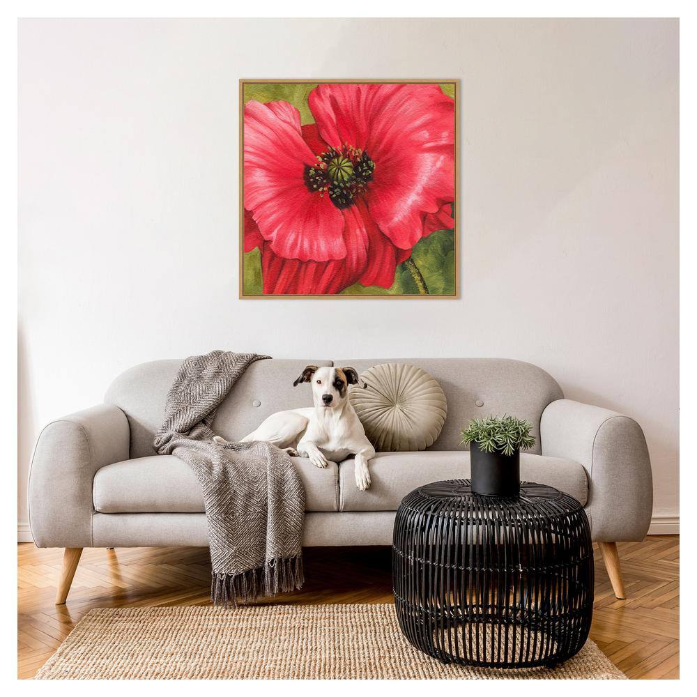Vivid Poppy II Red Floral Canvas Wall Art with Maple Frame