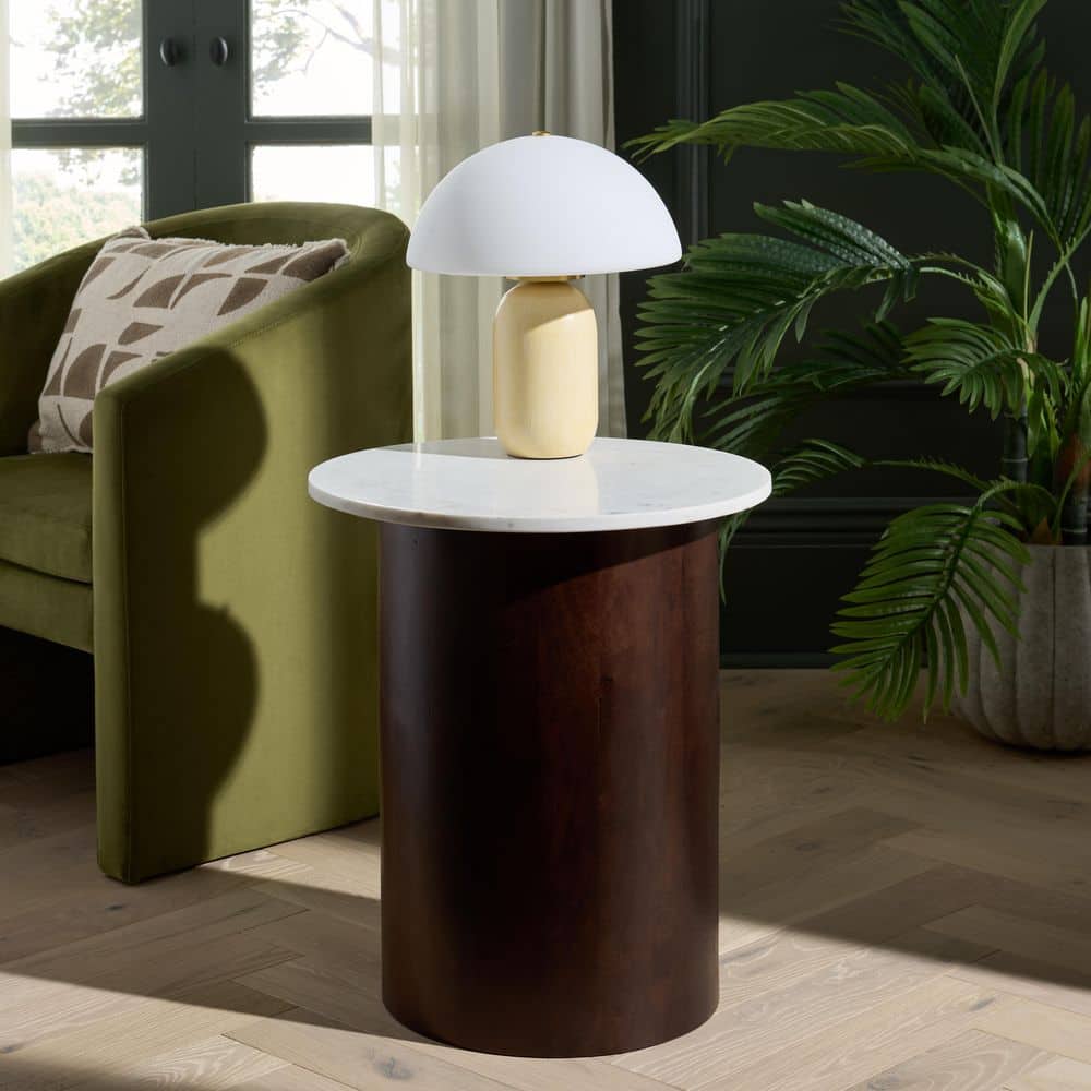 Kappie 19 in. White/Dark Brown Round Wood End Table price history on PriceWatchPro