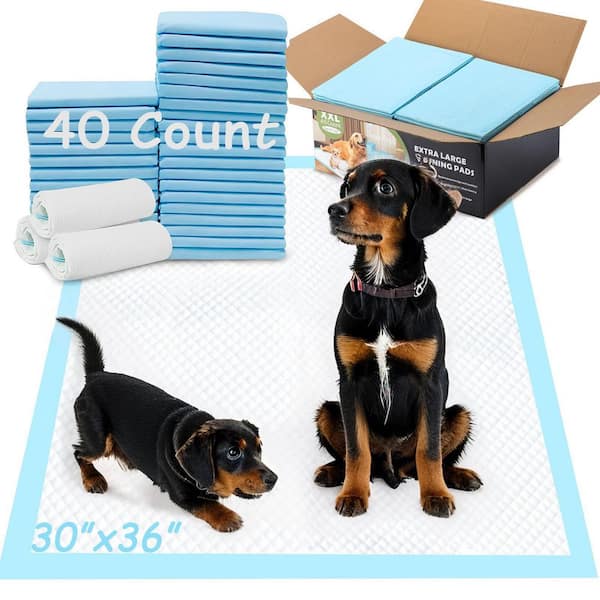 30 in. x 36 in. Extra Large Disposable Dog Training Pads, 6-Layer Leak-Proof, Super Absorbent, Quick Dry, 40-Pack