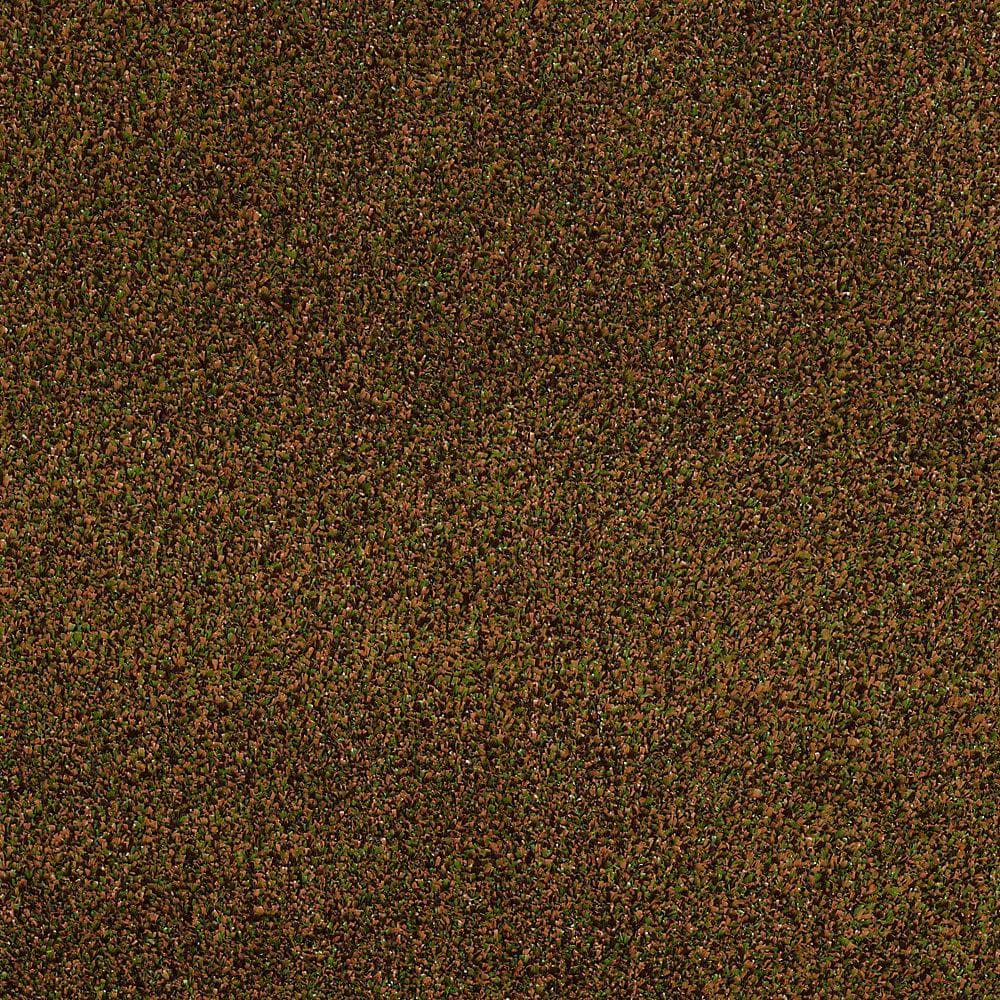 8 in. x 8 in. Texture Carpet Sample - Toulon - Color Spices price history on PriceWatchPro