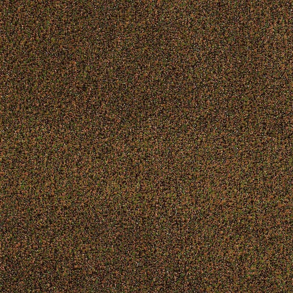 TrafficMaster 8 in. x 8 in. Texture Carpet Sample - Toulon - Color ...