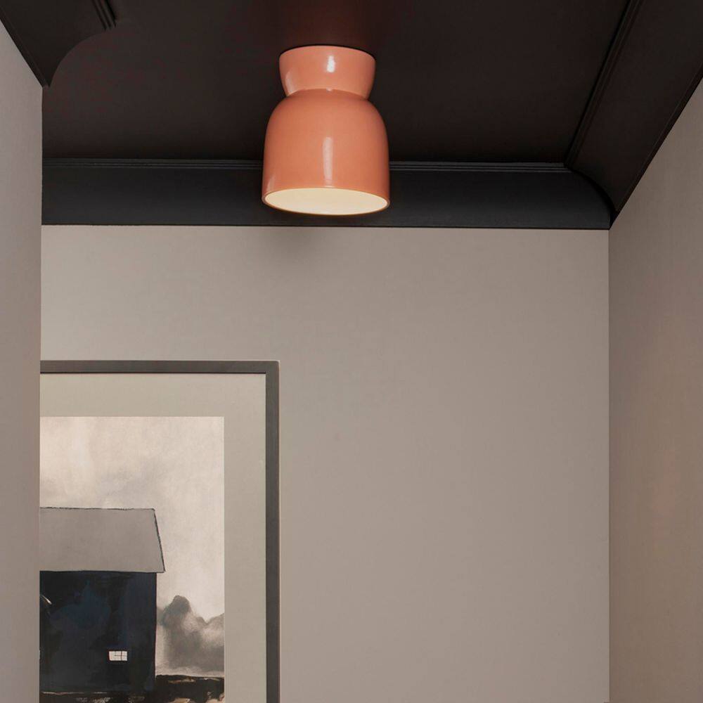 Radiance Collection 1-Light Gloss Blush Outdoor Flush Mount Light price history on PriceWatchPro