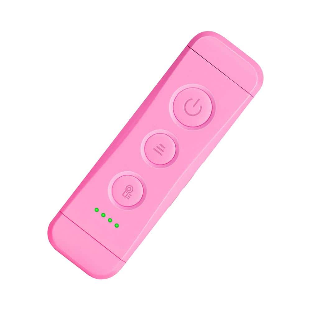 Flexible Clip-On 5-Volt 28 Lumen Integrated LED Reading Clamp Work Light Battery Operated 0.59 in. Tool Only in Pink price history on PriceWatchPro